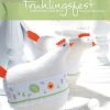 Buch - Frühlingsfest - Kreuzstichmuster