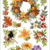 Herbstfreuden – Bild 2