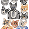 Cats – Bild 2