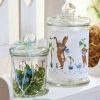 Hase – Bild 5